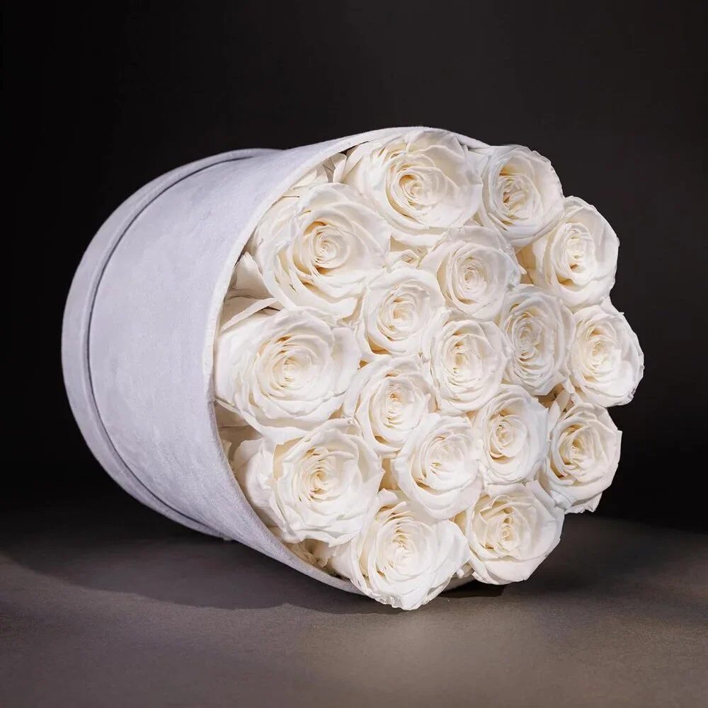 N/A classic roses